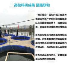 智慧农研引领未来 重庆工厂化高密度养鱼的创新实践