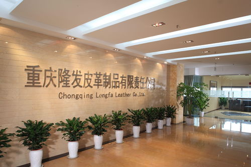 重庆隆发皮革制品有限责任公司